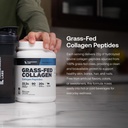 transparent-labs-grass-fed-collagen-pept-61HSr4K0obL.jpg
