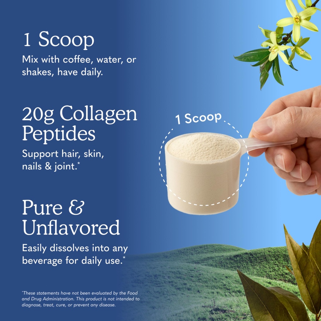 garden-of-life-grass-fed-collagen-powder-814DVgHnuvL.jpg
