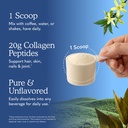 garden-of-life-grass-fed-collagen-powder-814DVgHnuvL.jpg