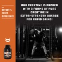 creatine-pills-5g-creatine-monohydrate-c-71X8Gvmxb7L.jpg