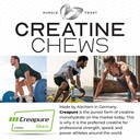 muscle-feast-creapure-creatine-monohydra-71LI3XglDYL.jpg