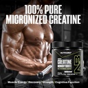 nutrabio-pure-micronized-creatine-monohy-81IV3nTYczL.jpg