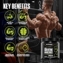 nutrabio-pure-micronized-creatine-monohy-81PpEFupNuL.jpg