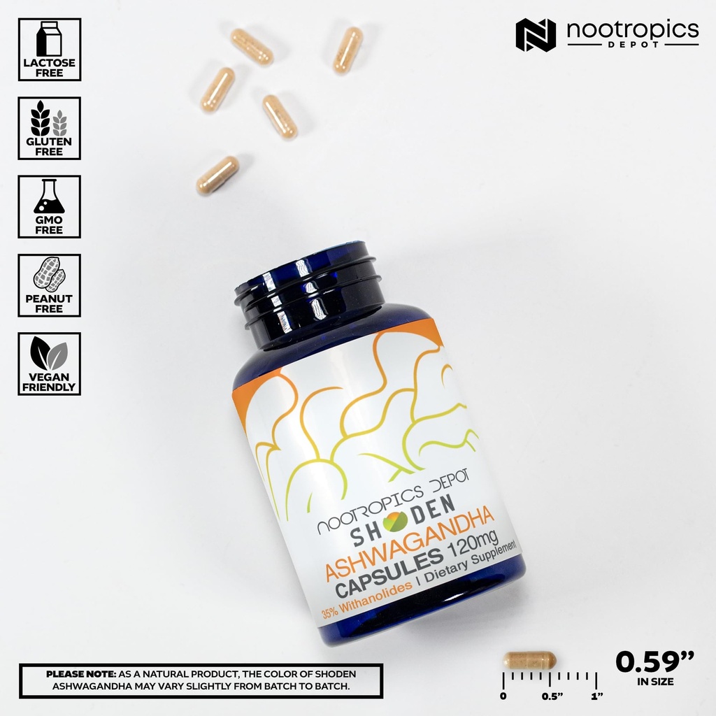 nootropics-depot-shoden-ashwagandha-extr-71pkExeV74L.jpg