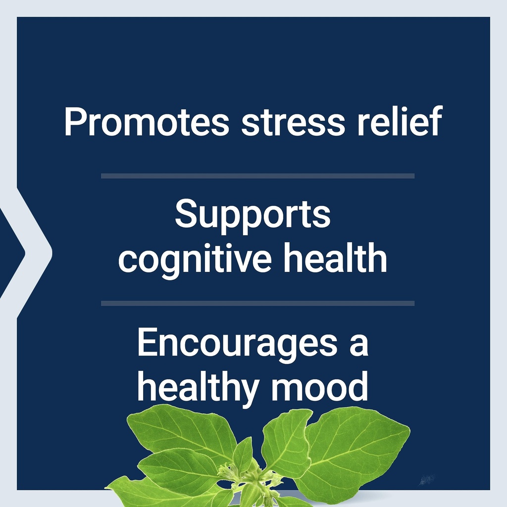 life-extension-optimized-ashwagandha-str-81ZVITrT2BL.jpg