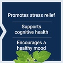 life-extension-optimized-ashwagandha-str-81ZVITrT2BL.jpg
