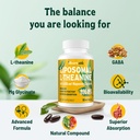 vivaravida-l-theanine-800mg-supplement-w-71DXJCmmy7L.jpg