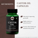 castor-oil-eranda-taila-60-veg-capsules-61txNCz8ENL.jpg