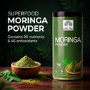 moringa-powder-1-kg-500-gm-500-gm-organi-81Lh8FheF5L.jpg