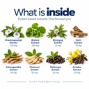 focus-capsules-for-memory-concentration--71sWhlBOSjL.jpg