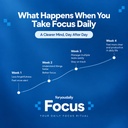 focus-capsules-for-memory-concentration--61VQ-WKHwvL.jpg