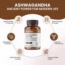 ashwagandha-extract-standardized-to-5-wi-71JCMYWzp3L.jpg