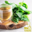 yerbero---stinging-nettle-leaf-root-loos-3.jpg