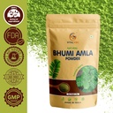 bhumi-amla-powder-natural-ayurvedic-herb-71CGbnvqnRL.jpg