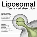 ultra-bioavailable-1500mg-10-in-1-liposo-81ngyD1aDCL.jpg