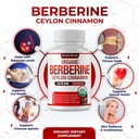 organic-berberine-with-ceylon-cinnamon-2-81PqG5hvDyL.jpg