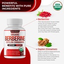 organic-berberine-with-ceylon-cinnamon-2-81mJQf3j9JL.jpg