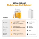 gut-reboot-sachets-for-gut-health-digest-61wMnh7g27L.jpg