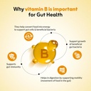 gut-reboot-sachets-for-gut-health-digest-81i-KIA56eL.jpg