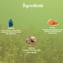 biotique-bio-seaweed-revitalizing-anti-f-61UXang115L.jpg