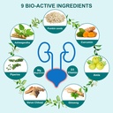 bladder-control-manages-urine-incontinen-71Hsq7tBPjL.jpg