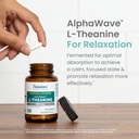 himalaya-l-theanine-with-clinically-stud-81r-rWBhMXL.jpg