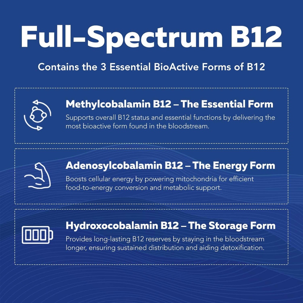 bioactive-b-complex-bloodstream-ready-me-71AuAUCAkaL.jpg