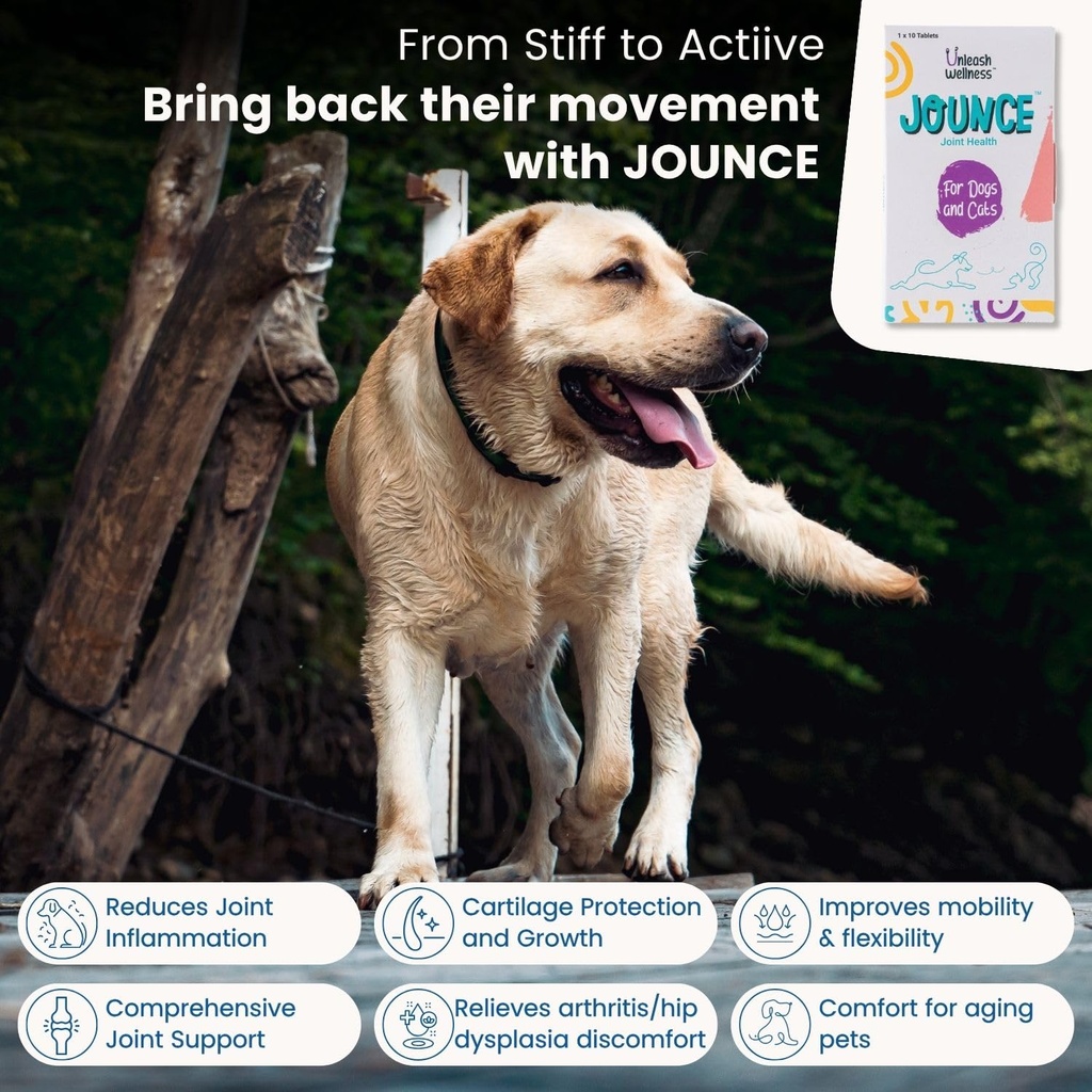 jounce-hip-joint-supplement-for-dogs-30--71qCBhGImIL.jpg