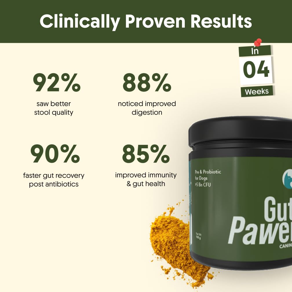 gutpawer-canine-prebiotic-probiotic-supp-612ZMqDcaHL.jpg
