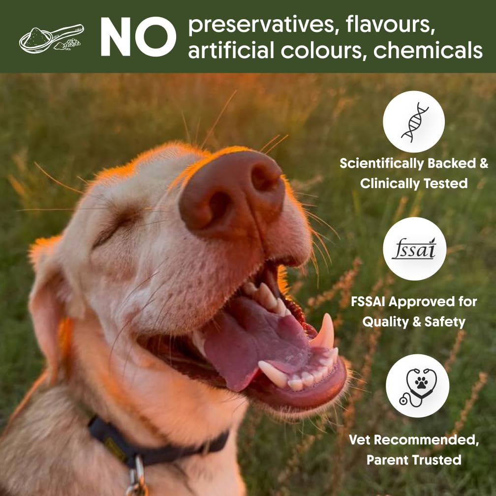 gutpawer-canine-prebiotic-probiotic-supp-61H0k9B+7iL.jpg