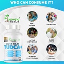 humming-herbs-liver-care-tudca-7-in-1-fo-81HEOrHIaNL.jpg