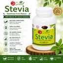 so-sweet-stevia-100g-pure-stevia-extract-71tMyOGYR7L.jpg