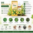 asclepius-exe-panch-tulsi-oil-25-ml-ayur-71BZBF75duL.jpg