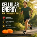 coq10-supplement-500mg-coenzyme-q10-ubiq-7164oa5st3L.jpg