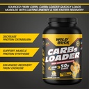 wild-buck-carbs-loader-superfuel-pure-ca-717MxmomjZL.jpg