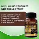 musli-plus-capsules-by-alchemy-ayurcare--71ntDCj4wxL.jpg