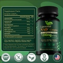liposomal-nad-supplement-with-resveratro-81Ccpnvc+LL.jpg