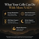 zyva-nad-pro-1200-high-dose-direct-nad-p-81-1UCZKpXL.jpg