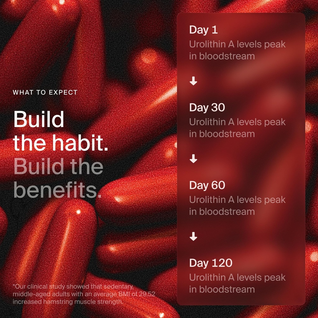 timeline-mitopure-urolithin-a-supplement-91TvOjItuZL.jpg