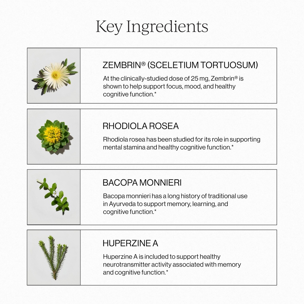 cymbiotika-liposomal-brain-complex-for-f-81KWswo9HlL.jpg
