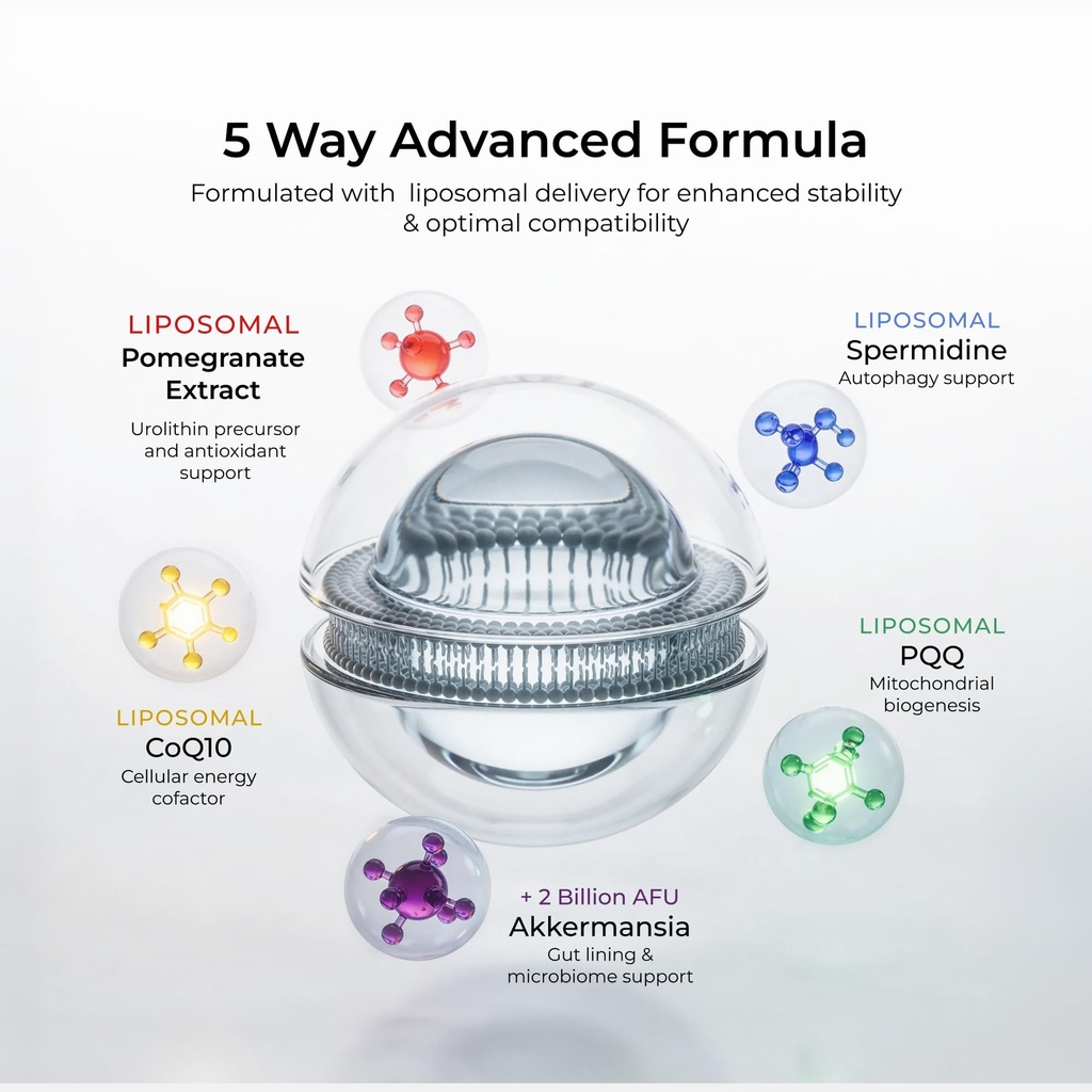neurogan-urolithin-precursor-pro-capsule-71wNa1K61VL.jpg