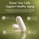 partiqlar-pure-nmn-supplement-500mg-high-81njeGRdWxL.jpg