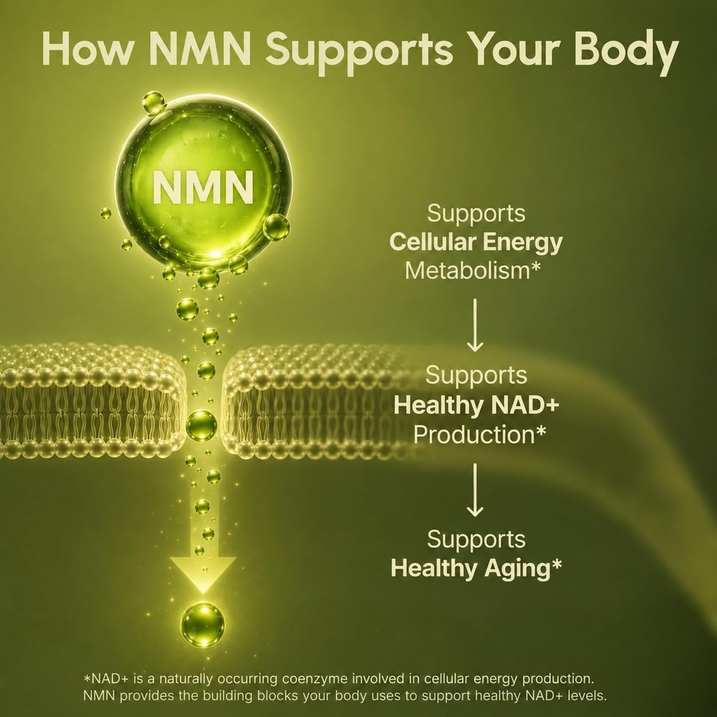 partiqlar-pure-nmn-supplement-500mg-high-61C8etkqSOL.jpg