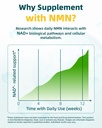 nmn-supplement-10-in-1-nad-supplement-wi-61NKIEhLdZL.jpg