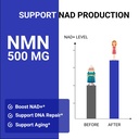 upnourish-nmn-500mg-120-capsules-beta-ni-7153H5vS7wL.jpg
