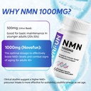 nmn-1000mg-supplement-beta-nicotinamide--71WoNIrjmEL.jpg