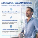 nmn-1000mg-supplement-beta-nicotinamide--611jC6w2Y-L.jpg