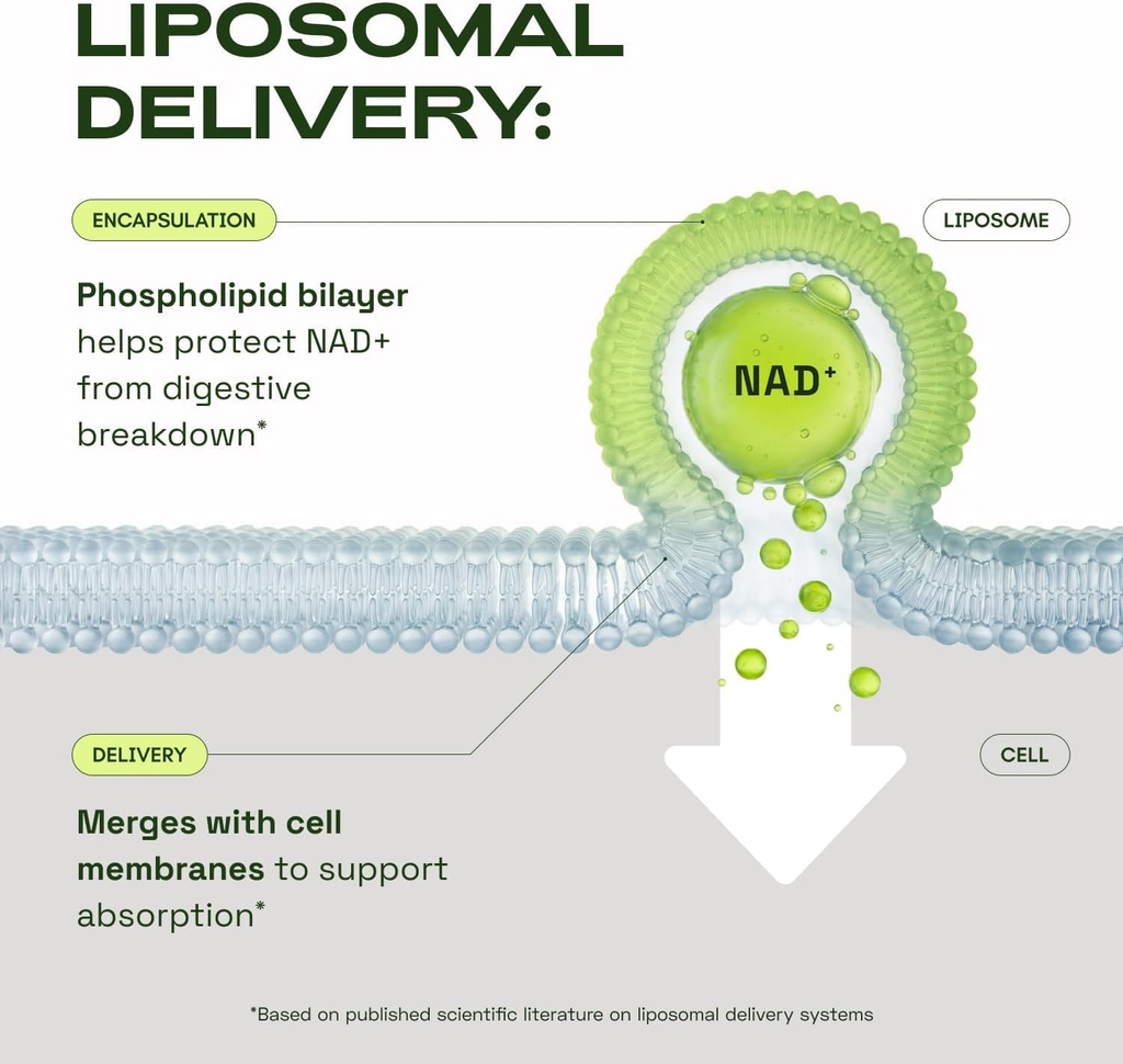 cata-kor-nmn-supplement-alternative-lipo-61DaNXRCxRL.jpg