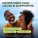 cata-kor-nmn-supplement-alternative-lipo-71+ISlM3ETL.jpg