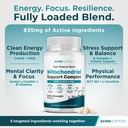 mitochondrial-support-complex-energy-foc-81M7Na04U3L.jpg